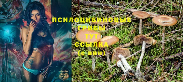 МДМА Богданович
