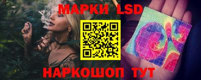 apvp Гатчина