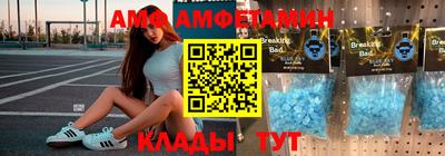 apvp Гатчина