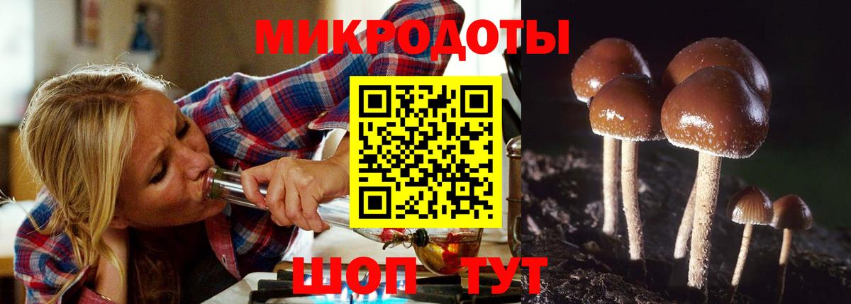 магазин продажи наркотиков  Вход с VPN  Кузнецк  Псилоцибиновые грибы Psilocybine cubensis 